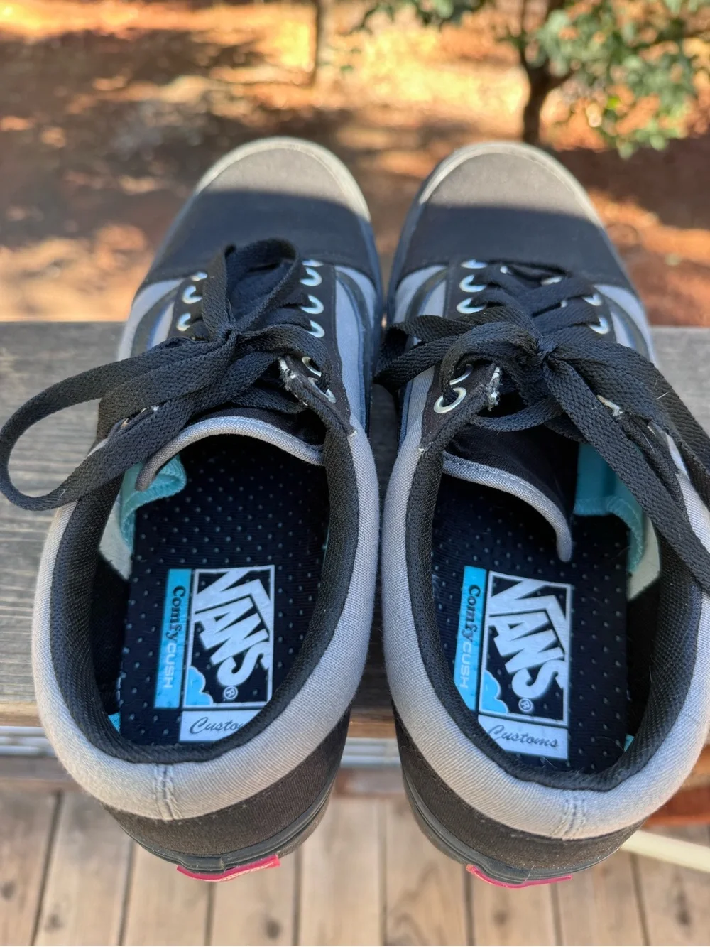 Vans Black and Gray Low-Top Skate Sneakers